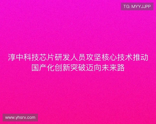 淳中科技芯片研发人员攻坚核心技术推动国产化创新突破迈向未来路