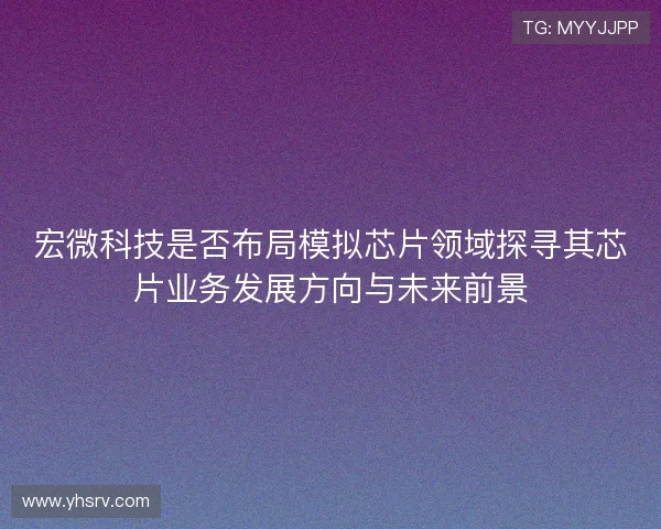 宏微科技是否布局模拟芯片领域探寻其芯片业务发展方向与未来前景